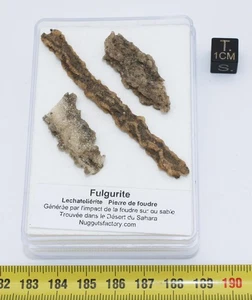 lot de Fulgurites dans une boite (Sahara - 011 **) - Picture 1 of 4