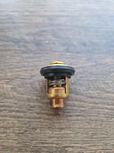 Parsun F15 Thermostat Teile Nr. F15-07000031 Mercury 825212001 - Bild 1 von 2