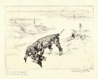 Antique Irish Water Spaniel Print Vernon Stokes Hunting Dog Gun Dog Print 4782h