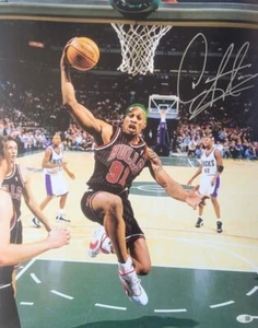 Signed 16x20 DENNIS RODMAN Chicago Bulls Autographed Photo w/JSA Witness Holo - Picture 1 of 1