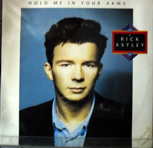 Rick Astley : Hold Me In Your Arms - Promo LP - Photo 1/1