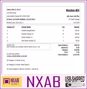 Regular Billing Ledger Software - Care Pet Account Pos NXAB - Picture 1 of 10