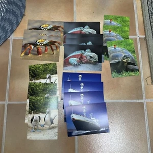 New Post Card Blue footed Boobie Bird National Geographic lindblad Sally Crab - Picture 1 of 9