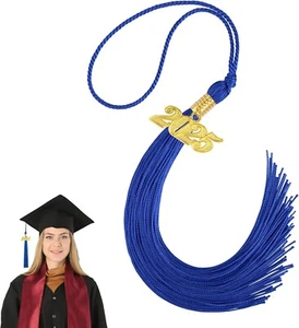 2025 Tassel Graduation, Graduation Tassel 2025, 2025 Graduation Tassel Blue 2025 - Picture 1 of 7
