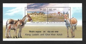 India, 2013 Wild Asses of India SG como nuevo 2943 montado sin montar o nunca montado, gato £2,50 - Imagen 1 de 1