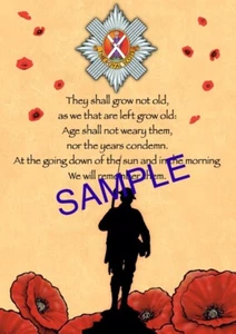 Regimental Poppy A4 Photo print. Royal Scots. - Picture 1 of 9