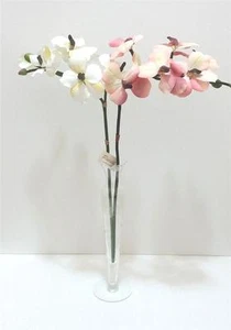 Tallos de orquídea mariposa elige el color - Imagen 1 de 9