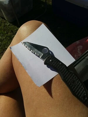 Spyderco G2 stainless Clipit delica Seki City Japan Folding serrated knife - Image 1 of 4