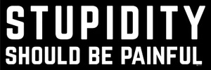 STUPIDITY Should Be Painful - funny statement M177 3x9 vinyl bumper sticker - Picture 1 of 1
