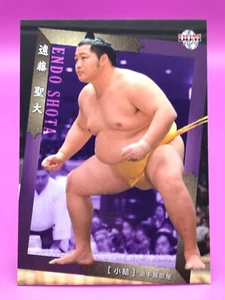 Endo Shota Grand Sumo BBM Card Japan Japanese Very Rare No.09 2019 F/S - Bild 1 von 12