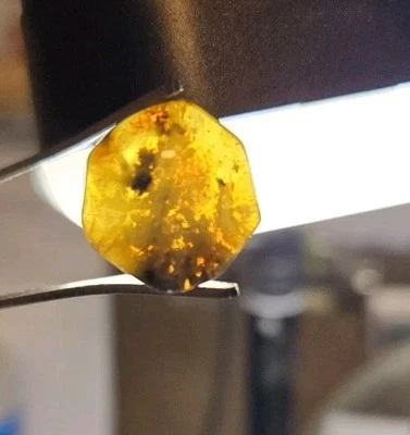 7ct Baltic Amber  - Image 1 of 4