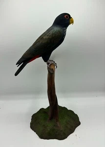 Bronze-winged Parot Original Wood Carving - Picture 1 of 4