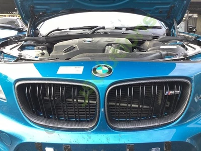 BMW 2 SERIES M2 MK1 2016-2017 CARBON KIDNEY GRILLES - Image 1 of 4
