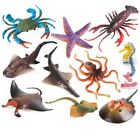 Ozean Tier Modell Spielzeug Meeresleben Figuren Simulation Meerestiere Bildung