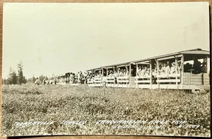 Toonerville Trolley Newberry Michigan Tahquamenon River Trip Photo Postcard RPPC - Picture 1 of 4