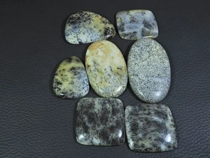 342Cts. Natural Dendrite Opal Mix Cabochon Loose Gemstone 07 Pcs Lot y908 - Bild 1 von 9