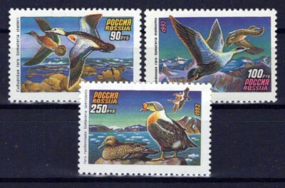 Rusia y Unión Soviética 6155-6157 MNH Pájaros Patos ZAYIX 0624S0258 Foto 1 de 3