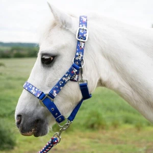 Gallop Padded UNICORN PRINT Headcollar (Halter)+Match Rope, Shetland, Pony Cob - Picture 1 of 11