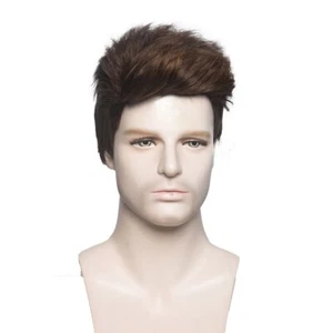 Handsome Mens Short Wigs Straight Hair Cosplay Party Synthetic Full Wigs - Picture 1 of 4