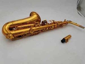 Axophone Alto E Sax Instrument High Quality with Case All Accessories - - Picture 1 of 15