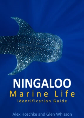 Ningaloo Marine Life Identification Guide - image 1 of 4