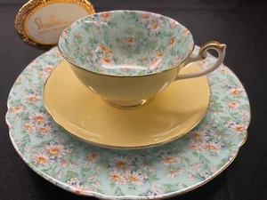 SHELLEY  MARGUERITE CHINTZ  LINCOLN CUP & SAUCER &  8" PLATE   #14217 GOLD TRIM - Picture 1 of 9