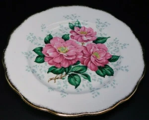 Queen Anne Camellia Bone China Lunch Plate Gold Trim Vintage England - Picture 1 of 5