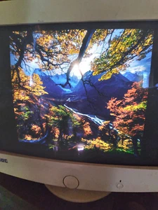 AOC 9Glrs 17.4" Vintage CRT Computer Monitor made 02/13/2001 TESTED WORKS! - Picture 1 of 15