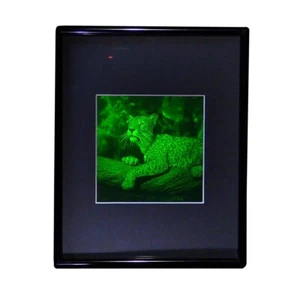 Imagen holograma 3D JAGUAR 2 canales (enmarcada) película tipo fotopolímero coleccionable - Imagen 1 de 7