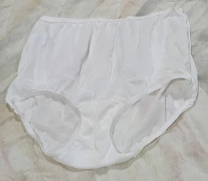 Vintage Dixie Belle Semi Sheer Nylon Brief Underwear/Panties Size 6 Hips 37-39 - Picture 1 of 4