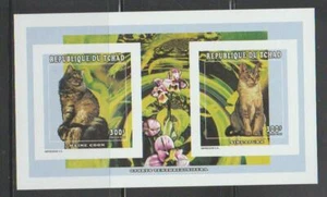 CHAD 1997 CAT PET STAMPS MAINE COON AND SINGAPURA CATS IMPERF MNH - KCAT116 - Bild 1 von 1