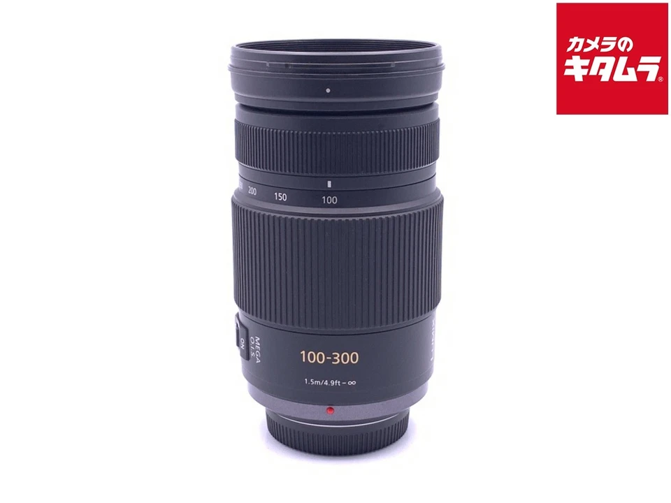 Panasonic Lumix G Vario 100-300 mm/F4,0-5,6/MEGA O.I.S. -EXC- `4219 Foto 1 de 3