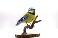 HANDMADE CRAFTED NEEDLE FELTED  OOAK  BLUE TIT BIRD ANIMAL