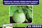 Eggplant Round Green Bangladeshi Indian Delicious Eggplant Variety 20 Seeds