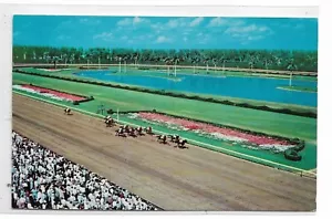 VTG Postcard Hileah Park Horse Park, Hileah, Florida - Picture 1 of 2