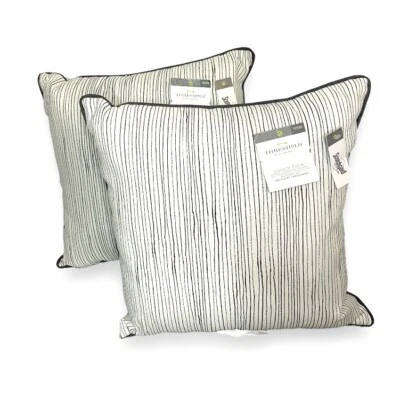 Juego Umbral de Dos Almohadas Cuadradas Blanco Negro Micro Rayas Exterior Scotchgard Foto 1 de 4