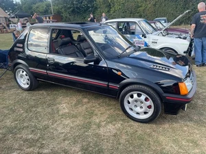 PEUGEOT 205 GTI 1.9 Mi16 - Picture 1 of 12
