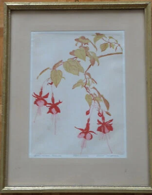 Ernst Rötteken  (Fuchsienzweig) - Bild 1 von 3