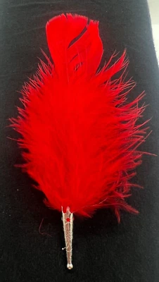 Nuevo Pin Etiqueta Red Hat Society, Pluma Roja Punta Plateada Foto 1 de 4