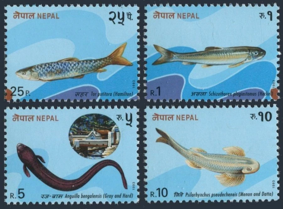Nepal 517-520, MNH. Michel 540-543. Fish, 1993. - Image 1 of 1