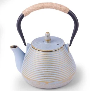 Cast Iron Tea Kettle Japanese Tetsubin Cast Iron Teapot with Stainless Steel ... - Picture 1 of 8