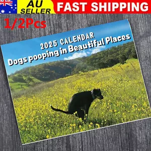 2025 Calendar - 11x8.5 inches Funny Dogs Pooping in Beautiful Places Wall Calend - Picture 1 of 17