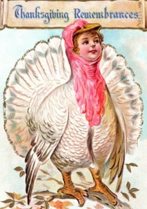 C1908 Anthropomorphic Turkey Boy Thanksgiving Remembrance Postcard Embossed Nash - Picture 1 of 3