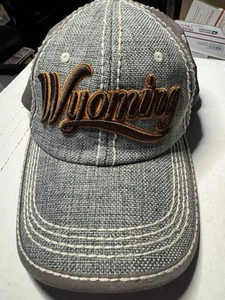 Robin Ruth Wyoming 90 OSFA Blue/Gray Hook & Loop Baseball Cap Hat Nos - Picture 1 of 8