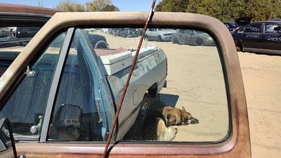 Dodge Ram W150 1978-1993 conductor ventana delantera izquierda puerta vidrio fabricante original 4160617 Foto 1 de 4