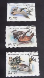 Rusia 1991 Ducks SG6264/6 pájaros Cola de Pinta CTO usado como foto - Imagen 1 de 1