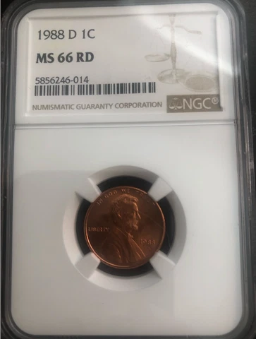 1988 D  Lincoln Head Cent    NGC  MS66 RD Cover