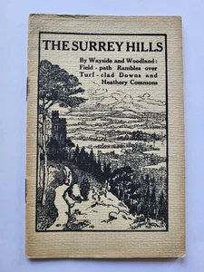 THE SURRY HILLS LONDON BRIGHTON AND SOUTH COAST RAILWAY COMPANY BOOK 1914 - Picture 1 of 8