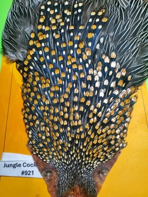 Capa Jungle Cock SUPER AAA 921.  Solo EE. UU.  Foto 1 de 4