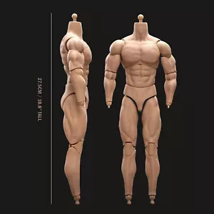 Figura de acción masculina muscular escala 1/6 BD003 cuerpo para cabeza de soldado de juguete caliente de 12" PZ - Imagen 1 de 12